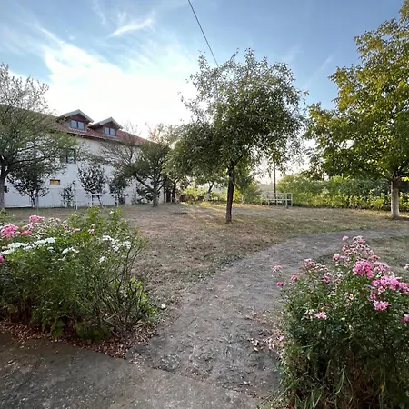 Camping Serbia - Kemping